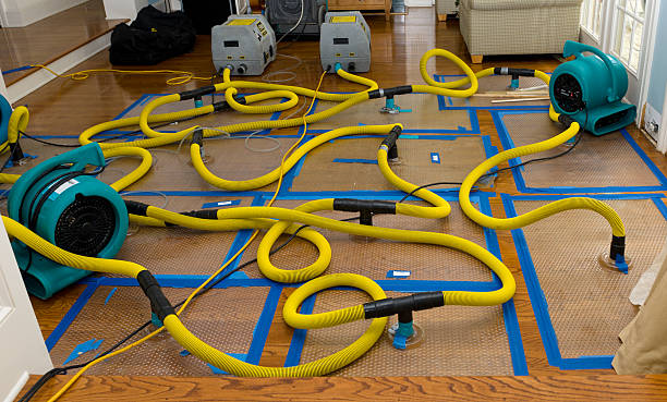 Professional Water Damage Restoration technician working in Tehachapi, CA
